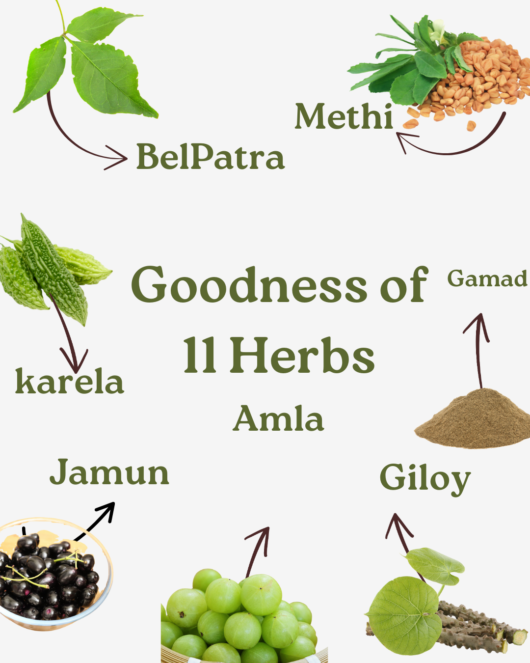 ayurvedabits dia free juice | ayurvedic blood sugar & diabetes support | natural herbal blend for glucose control & energy